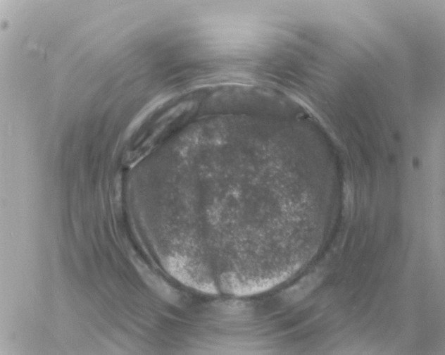 X0000061151450200512091947