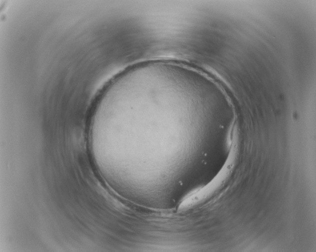 X0000061151452200512091947