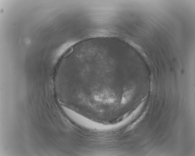 X0000061151453200512091947