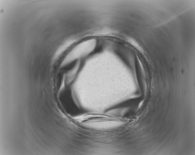 X0000061151456200512091947