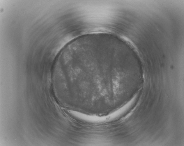 X0000061151457200512091947