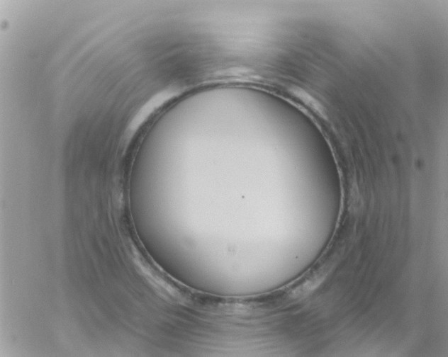 X0000061151458200512091947