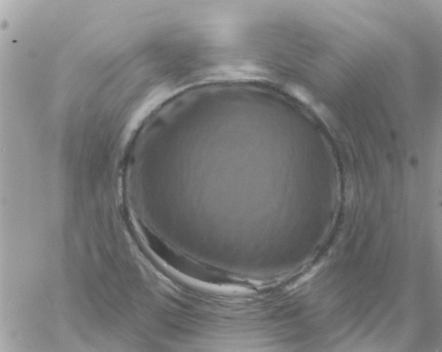 X0000061151459200512091947