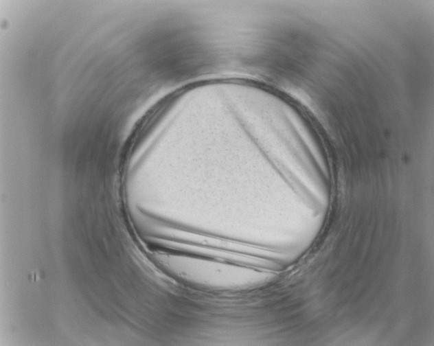 X0000061151460200512091947