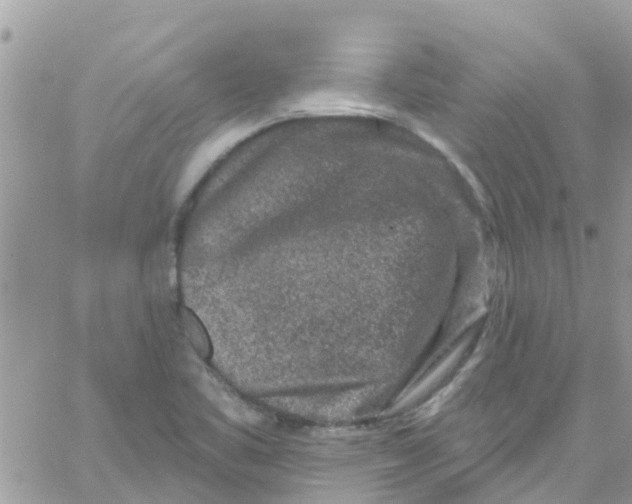 X0000061151461200512091947