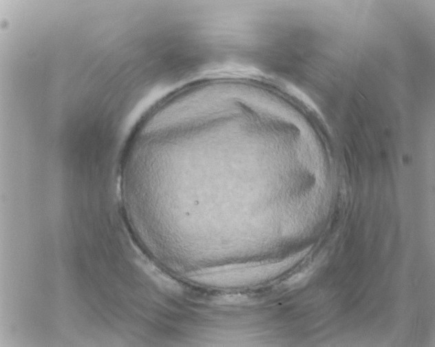 X0000061151462200512091947