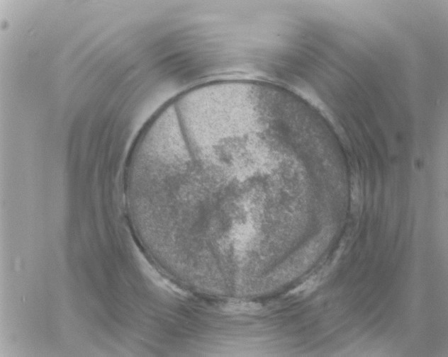 X0000061151466200512091947