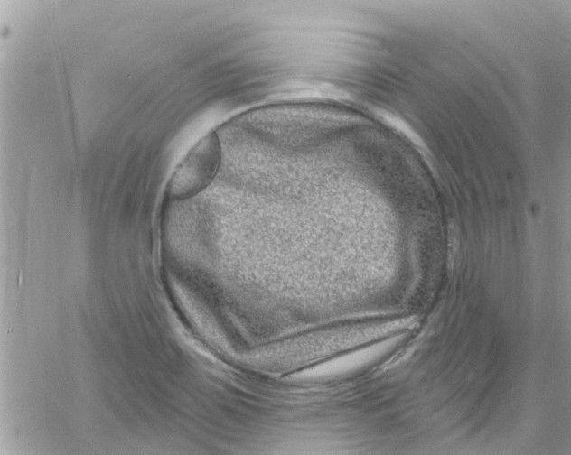 X0000061151467200512091947