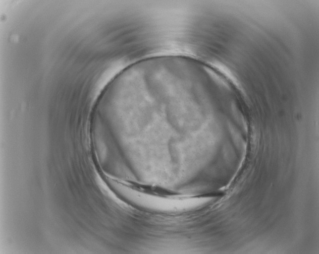 X0000061151468200512091947