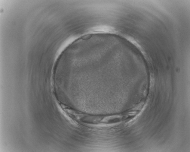 X0000061151469200512091947