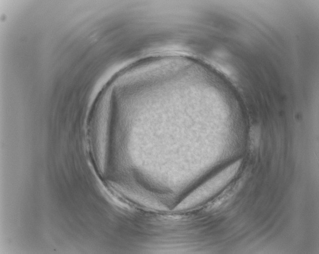 X0000061151470200512091947