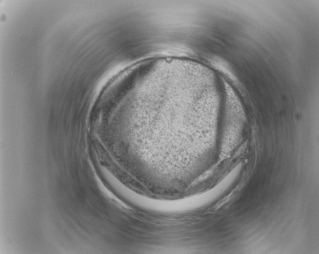 X0000061151471200512091947