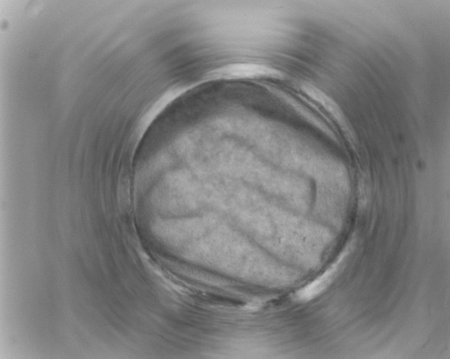 X0000061151473200512091947