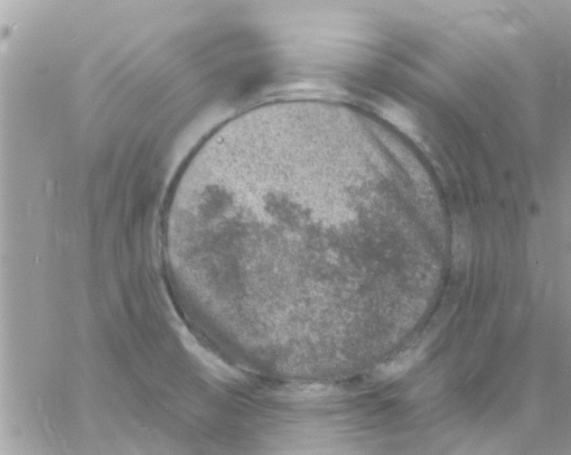 X0000061151474200512091947