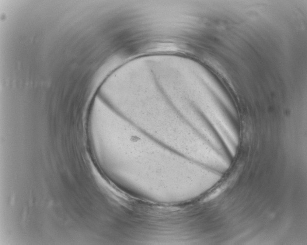 X0000061151475200512091947