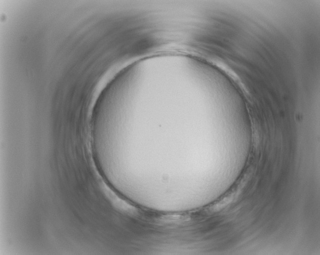 X0000061151478200512091946