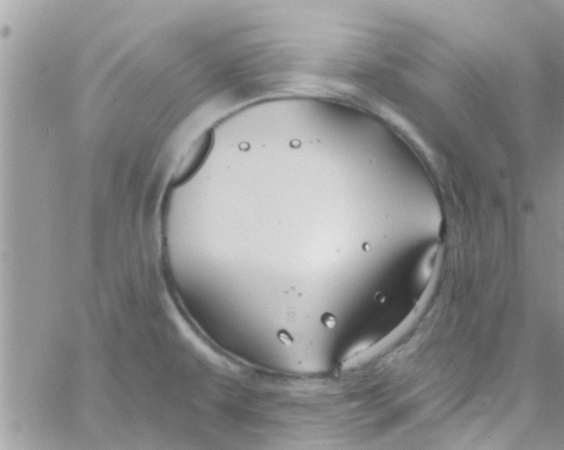 X0000061151479200512091946