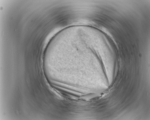 X0000061151480200512091946