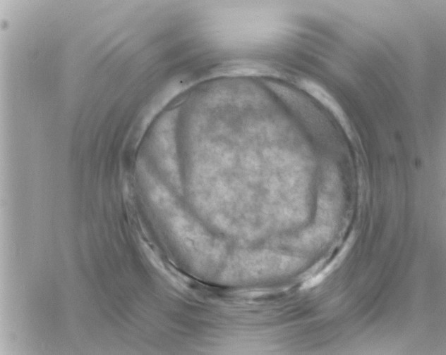 X0000061151481200512091946