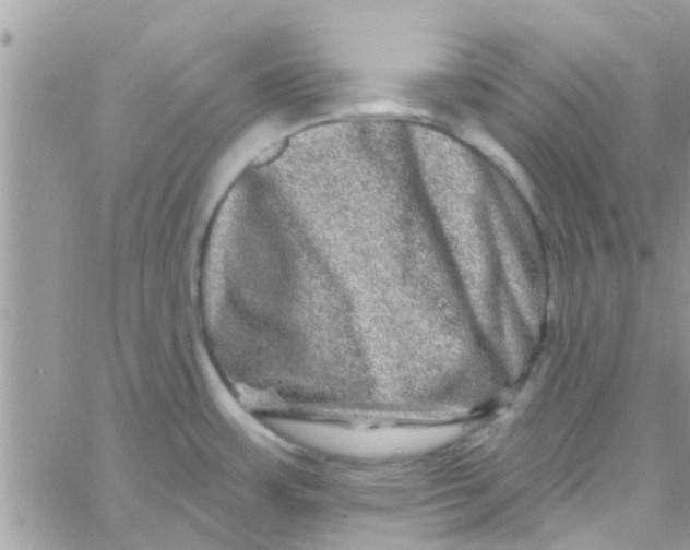 X0000061151483200512091946