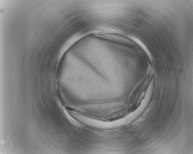 X0000061151485200512091946