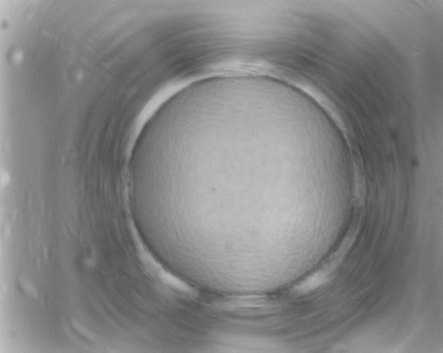 X0000061151486200512091946