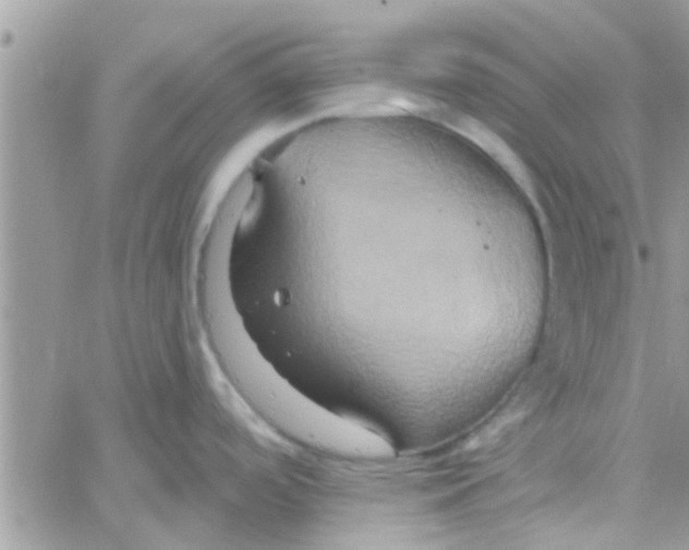 X0000061151488200512091946