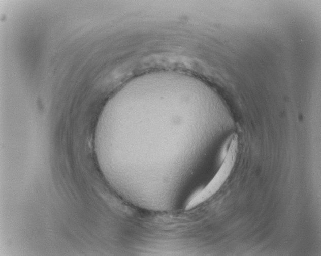 X0000061151489200512091946