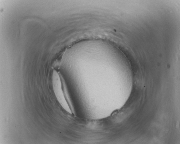 X0000061151490200512091946