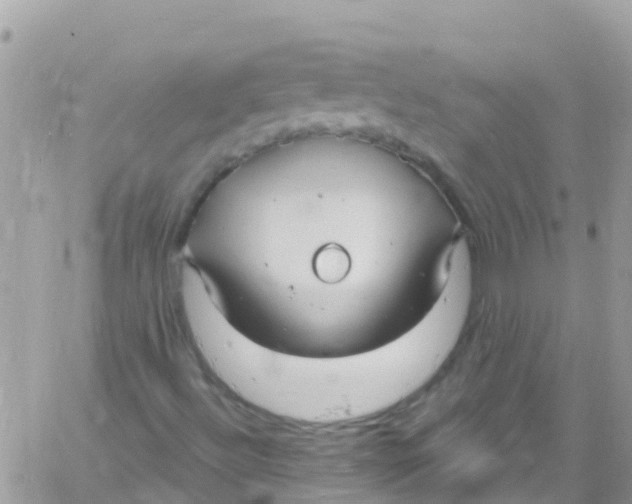 X0000061151492200512091946