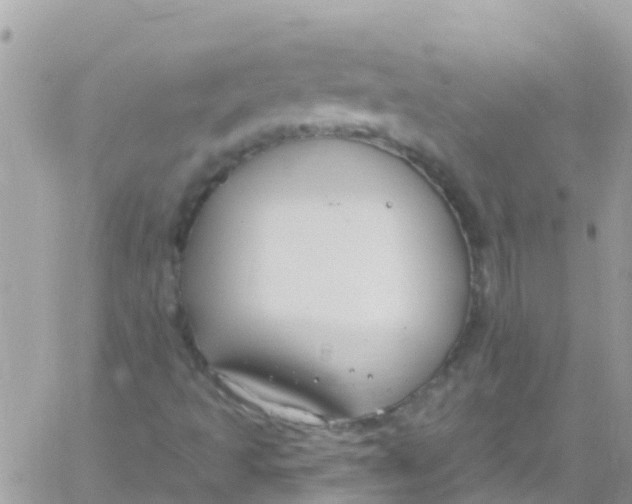 X0000061151493200512091946