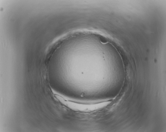 X0000061151494200512091946