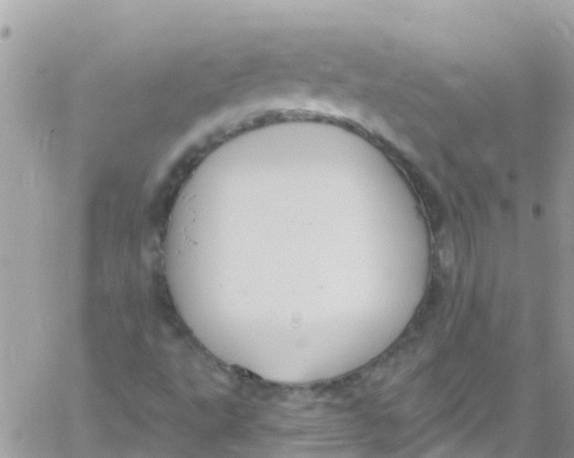 X0000061151495200512091946