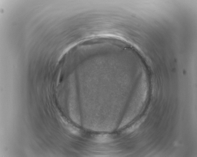 X0000061151497200512091946