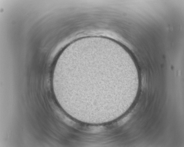 X0000061151498200512091946