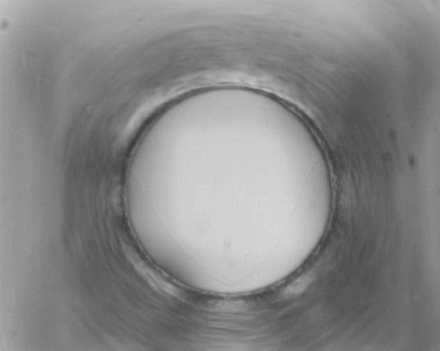 X0000061151499200512091946