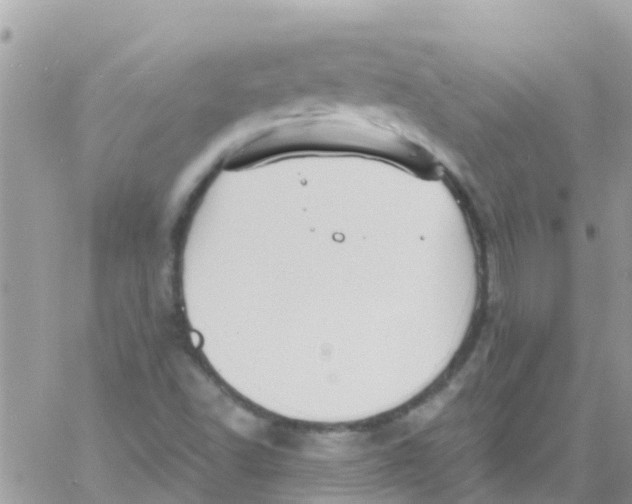 X0000061151502200512091946