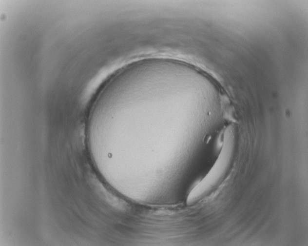 X0000061151503200512091946