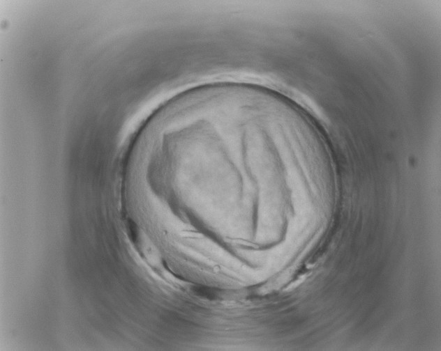 X0000061151504200512091946