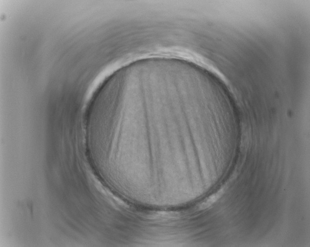 X0000061151506200512091946