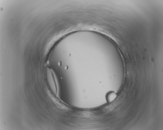 X0000061151507200512091946