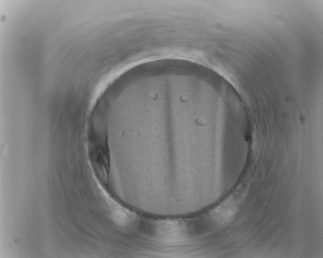 X0000061151508200512091946