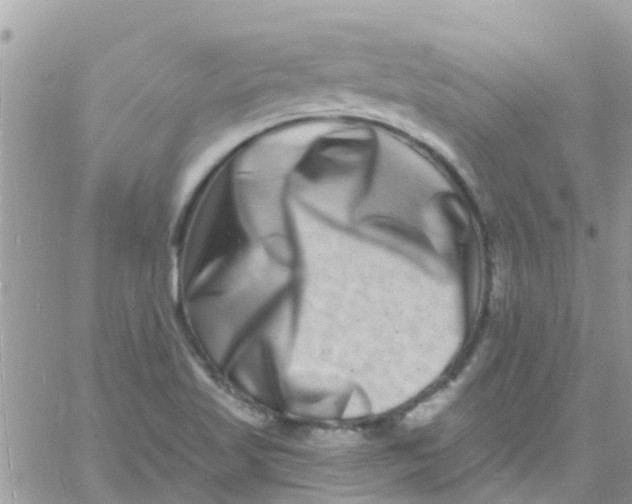 X0000061151509200512091946