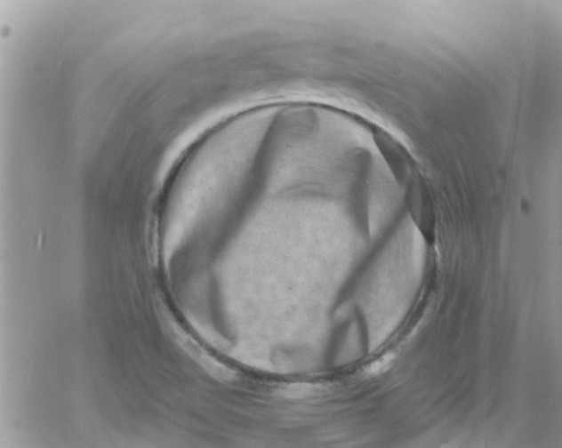 X0000061151510200512091946