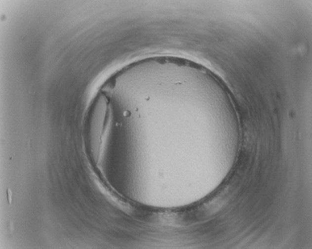 X0000061151511200512091946