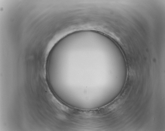 X0000061151512200512091946