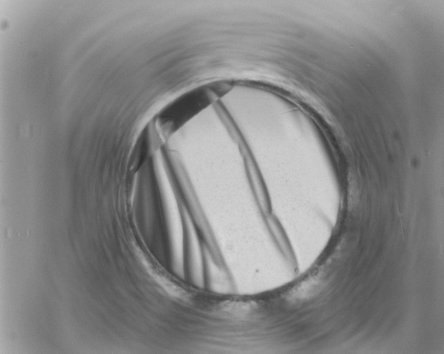 X0000061151513200512091946