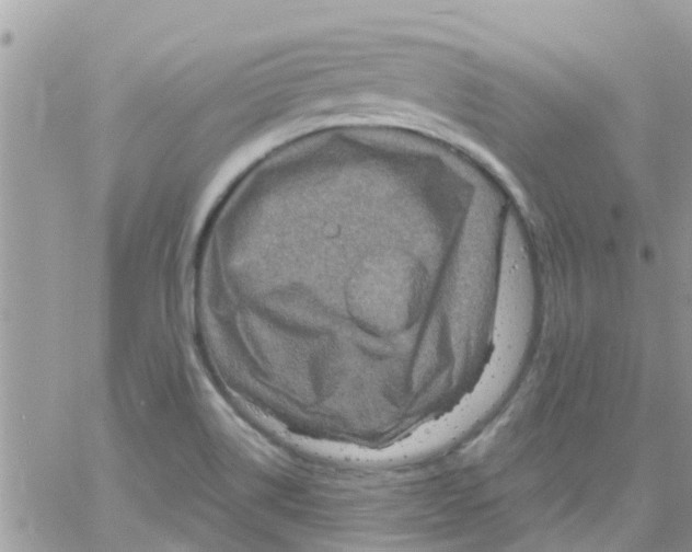 X0000061151514200512091946