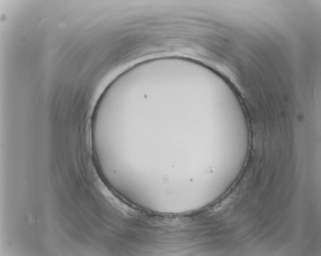 X0000061151516200512091946