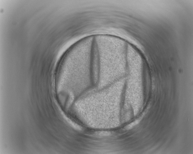 X0000061151517200512091946